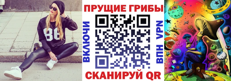 закладка  Щёкино  Галлюциногенные грибы Psilocybe 